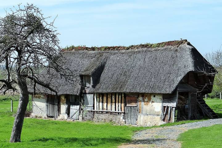 Marais Vernier : Sainte-opportune-la-mare