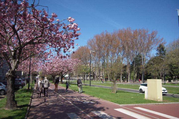 Le Havre : Avenue Foch