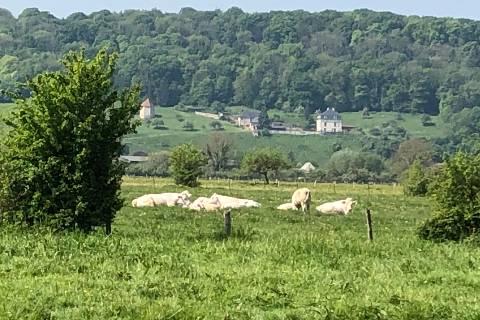 Marais Vernier : Perspective