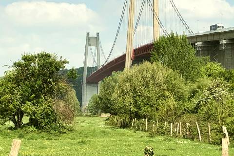 Pont de Tancarville