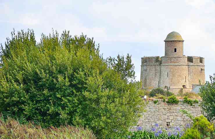 Tatihou Saint-Vaast-la-Hougue
